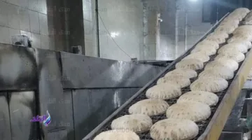 ضبط مالك مخبز قام بالاستيلاء على 13 جوالاً من الدقيق البلدي خلال حملة في الغربية