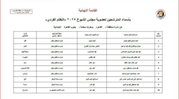 428 مرشحًا.. “الوطنية للانتخابات” تكشف عن القائمة النهائية للمرشحين لمجلس الشيوخ 2025