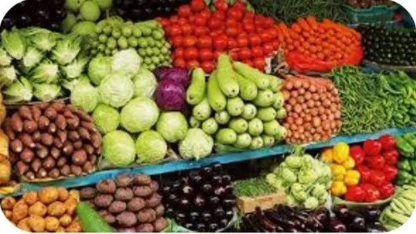 أسعار الفواكه والخضروات في أسواق الوادي الجديد أسعار الفواكه والخضروات في أسواق الوادي الجديد