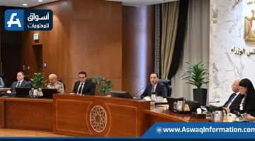 مجلس الوزراء: “كن جاهزًا” يعزز مبادرات توظيف التعليم في سوق العمل