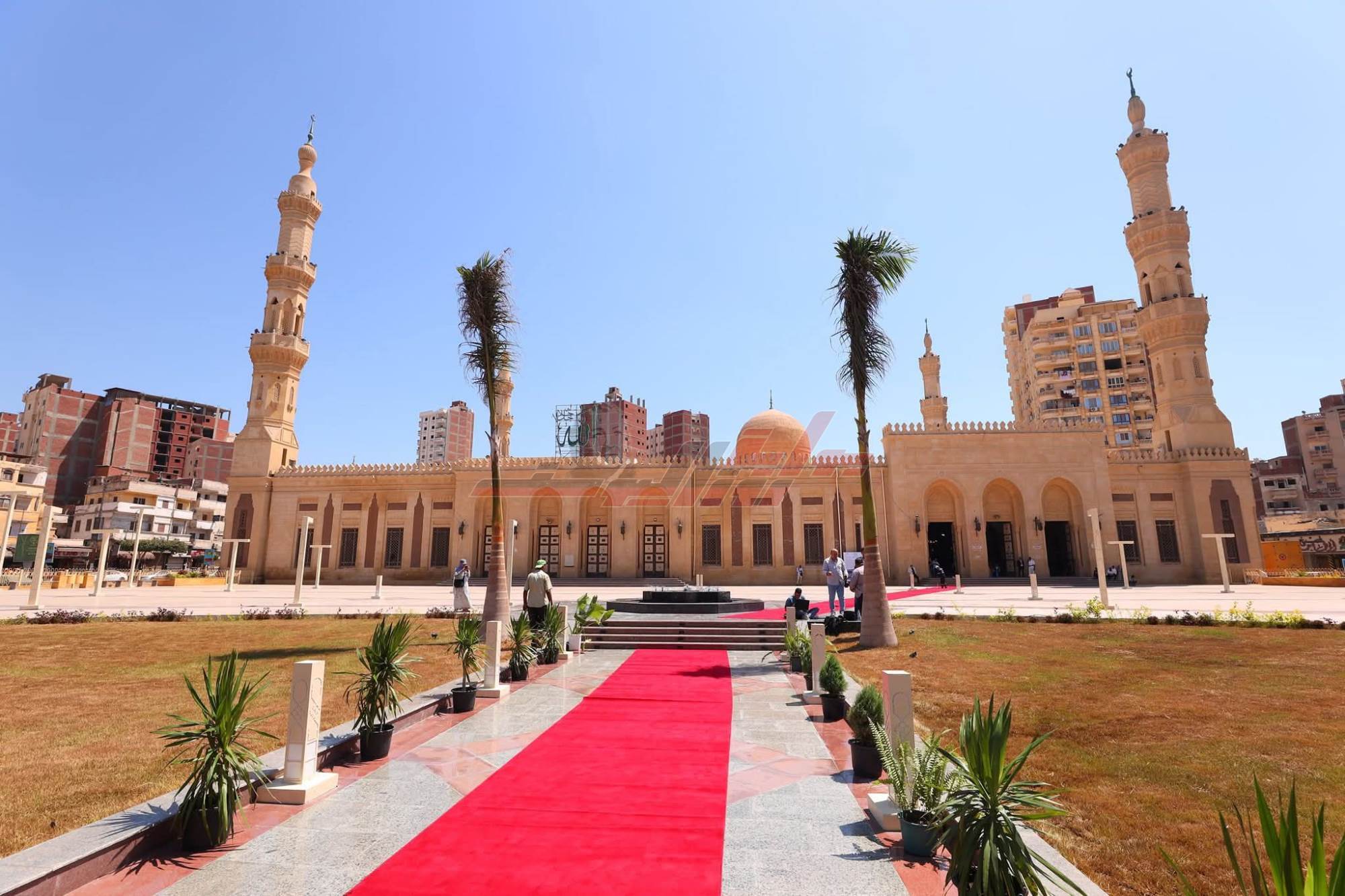 ساحة المسجد