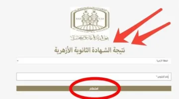 نتائج امتحانات الثانوية الأزهرية 2025.. معرفة النتائج برقم الجلوس حالما تُعلن