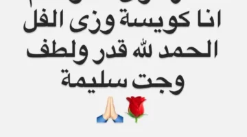 شيماء سيف تطمئن معجبيها بعد تعرضها لحادث سيارة: ‘كل شيء على ما يرام’