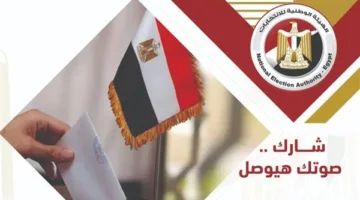 «428 في المقاعد الفردية».. القائمة الحاسمة لأسماء المرشحين في انتخابات مجلس الشيوخ 2025