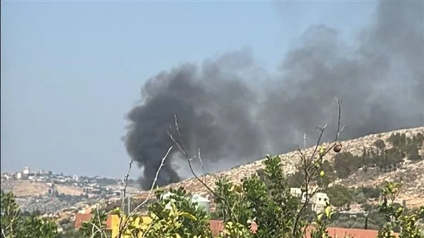 جنوبًا: اندلاع حريق في موقع نفايات… ونداء من السكان! (صور) جنوبًا: اندلاع حريق في موقع نفايات… ونداء من السكان! (صور)