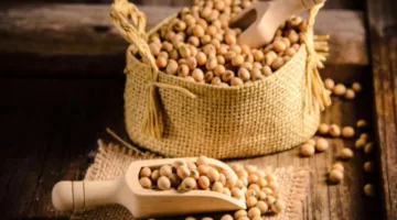 ارتفاع أسعار فول الصويا عالمياً للجلسة الثالثة على التوالي