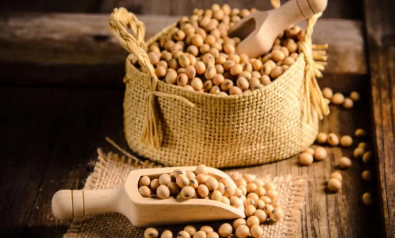 ارتفاع أسعار فول الصويا عالمياً للجلسة الثالثة على التوالي