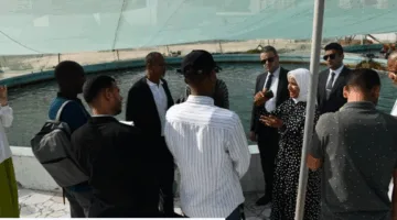 أموال واستثمار وسمعة عالمية: فوائد تبادل مصر خبراتها في الاستزراع السمكي مع ثلاث دول أفريقية