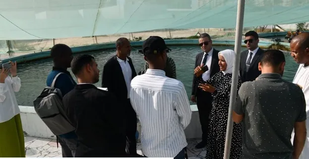 أموال واستثمار وسمعة عالمية: فوائد تبادل مصر خبراتها في الاستزراع السمكي مع ثلاث دول أفريقية أموال واستثمار وسمعة عالمية: فوائد تبادل مصر خبراتها في الاستزراع السمكي مع ثلاث دول أفريقية