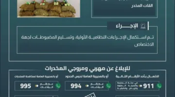 حرس الحدود في جازان يوقف محاولة تهريب 240 كيلوغرامًا من نبات القات