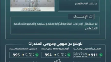 قوات حرس الحدود في نجران تعتقل شخصاً بتهمة تهريب 7 كيلوغرامات من القات المخدر