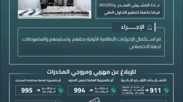 حرس الحدود في جازان يعتقل أربعة أشخاص بتهمة تهريب الحشيش وأقراص محظورة.