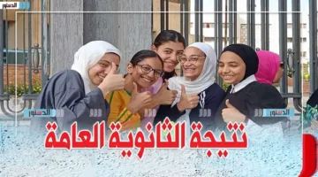 رابط رسمي.. كيفية التحقق من نتائج الثانوية العامة 2025 في جميع المحافظات