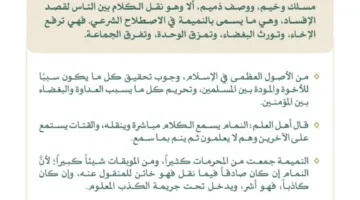آل الشيخ: النميمة تعزز الفُرقة وتؤدي إلى الكراهية وتضرّ بالتلاحم وتفكك الجماعة