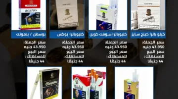 أسعار السجائر المُحدثة | رسم بياني معلوماتي
