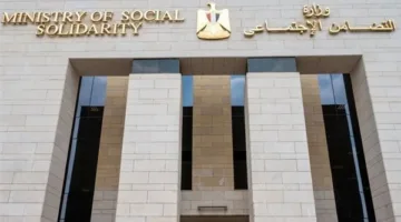 “التضامن” تُعلن عن مسابقة لمرحلة الحضانات مع تفاصيل الشروط ومواعيد التقديم