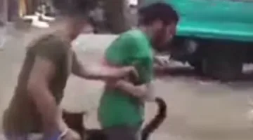 تعرض معاق للسخرية بعد إطلاق كلب مفترس عليه.. شباب يتخذون إجراءات قانونية ضد الفاعلين