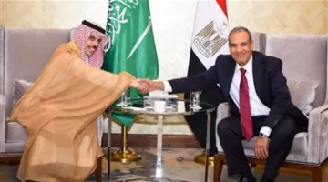 نواب وأحزاب: العلاقة بين مصر والسعودية تتجاوز الأمور السياسية وتعتمد على الثقة والمصير المشترك.