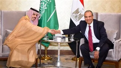 نواب وأحزاب: العلاقة بين مصر والسعودية تتجاوز الأمور السياسية وتعتمد على الثقة والمصير المشترك.