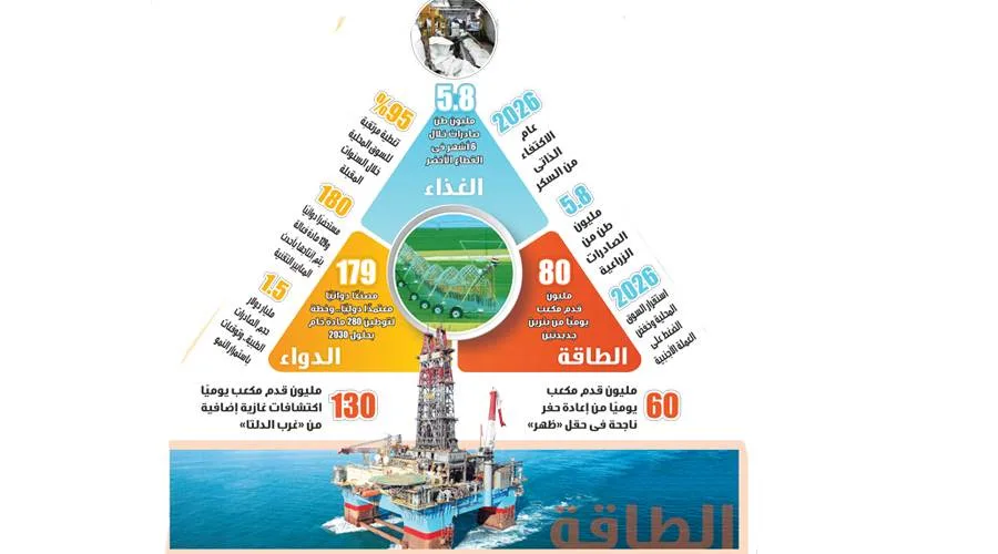 أرقام مدهشة لمصر في مجالات الغذاء والدواء والطاقة أرقام مدهشة لمصر في مجالات الغذاء والدواء والطاقة