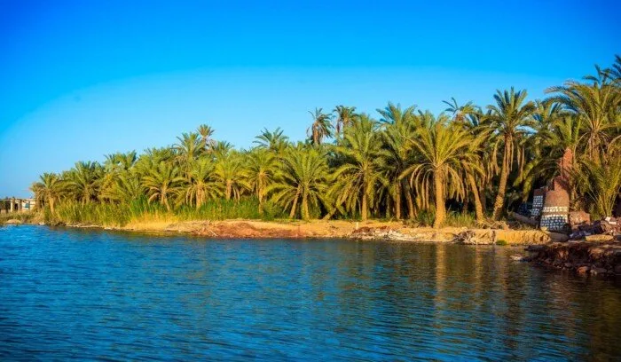 السائحة الكورية كاربي سيندي: سيوة هو أجمل وجهة زرتها في حياتي، وكأنها جنة على الأرض السائحة الكورية كاربي سيندي: سيوة هو أجمل وجهة زرتها في حياتي، وكأنها جنة على الأرض