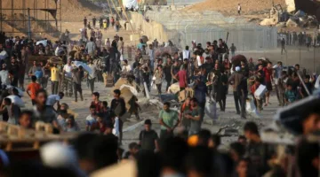 سيناتور أميركي: طلب الموساد للتهجير الفلسطينيين من غزة هو أمر مروع