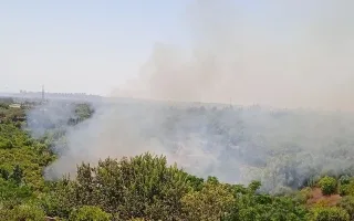 وزارة الدفاع السورية: اعتقال مجموعة سعت لإشعال حرائق في ريف اللاذقية