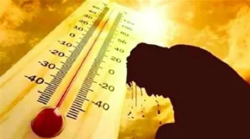 انخفاض حاد… تأثير موجات الحرارة على الصحة العامة | تفاصيل