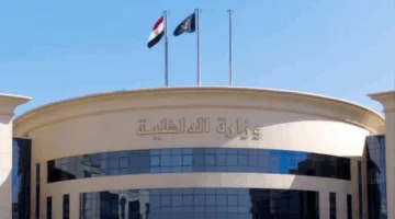 إلقاء القبض على شخصين بتهمة الاحتيال على سيدة عبر منصات التواصل الاجتماعي