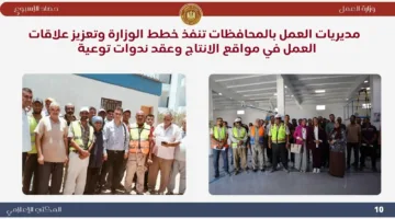 وزير العمل يستقبل وفد “تيتان تو” الروسية لخلق فرص عمل للشباب في مشروع الضبعة النووي