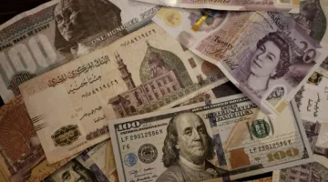 هل يمكن لمبادلة الديون أن تعزز التمويل التنموي وت attract الاستثمارات الأجنبية إلى مصر؟