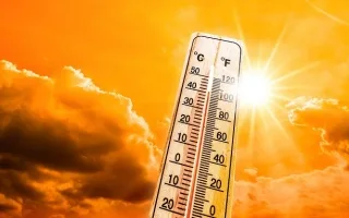 الأرصاد الجوية: مدينة العين تسجل أعلى درجات الحرارة في البلاد اليوم عند 48.2 مئوية
