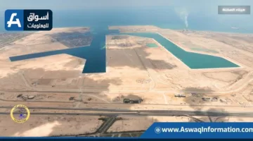 خطة لتطوير ميناء السخنة ليصبح الأهم على البحر الأحمر | إنفوجراف