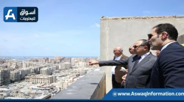 وزير قطاع الأعمال: خطة لتحويل “قصر القطن” في الإسكندرية إلى مركز استثماري متنوع الاستخدامات