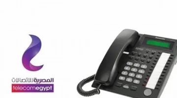 إجراءات استعلام وسداد فاتورة الهاتف الثابت لشهر يوليو 2025