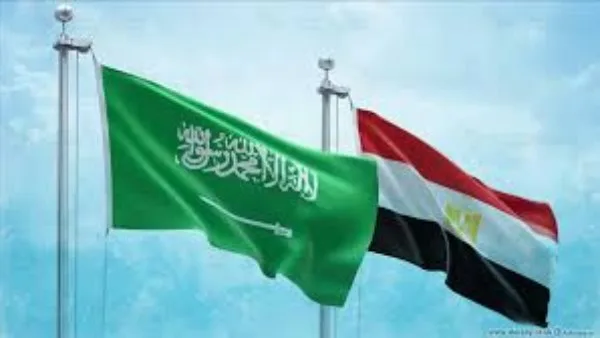 لا جدوى من ذلك .. أستاذ في العلوم السياسية: محاولات زرع الفتنة بين مصر والسعودية محكومة بالفشل.