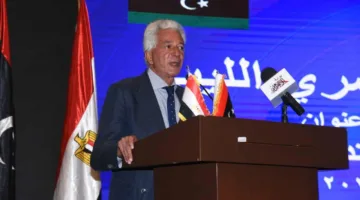 علاء عز: شركات مصرية تساهم في تنفيذ مشاريع بإفريقيا بقيمة 10 مليارات دولار