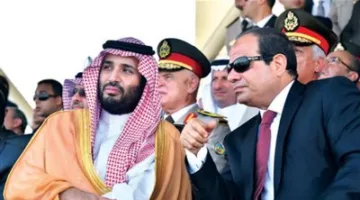 أستاذ العلوم السياسية: تناغم واضح في التصورات السياسية بين مصر والسعودية في جميع قضايا المنطقة.