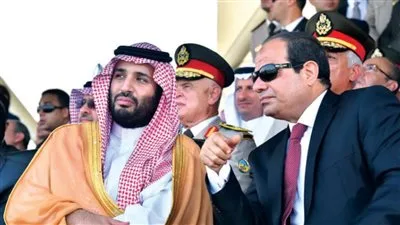 أستاذ العلوم السياسية: تناغم واضح في التصورات السياسية بين مصر والسعودية في جميع قضايا المنطقة.