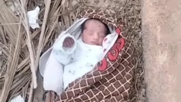 محجوز من القاهرة.. تحليل الحمض النووي يكشف زيف قصة طفل مقابر أبوتشت بقنا