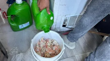 التفاصيل الكاملة لإغلاق 6 مطاعم وإغلاقها بشارع النيل في رأس البر