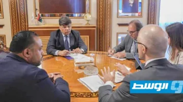 الصور يناقش مع السفير الأوروبي سبل التعاون في العدالة وتبادل المعلومات