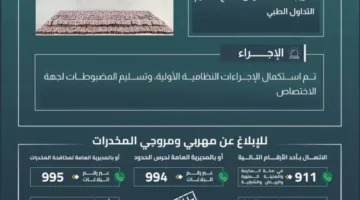 إحباط محاولة تهريب 71,700 قرص مخدر في الدائر