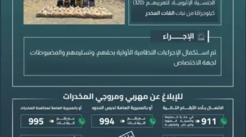 إلقاء القبض على 12 شخصًا لتورطهم في تهريب 320 كيلوغرامًا من القات في الدائر.