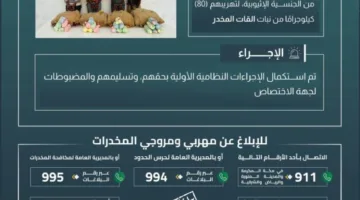 حرس الحدود في عسير يعتقل أربعة أشخاص بتهمة تهريب 80 كيلوغرامًا من مخدر القات