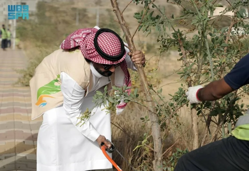 حملة لمواجهة “نبات التبغ الزائف” حملة لمواجهة “نبات التبغ الزائف”
