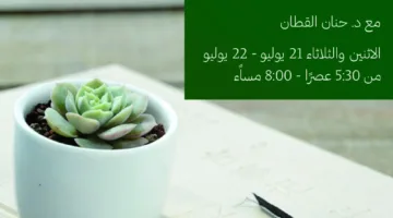 التقييم الصحيح للذات في المدينة التعليمية يوم الثلاثاء