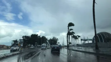 انتبهوا إلى الشواطئ.. الأرصاد تحذر من اضطراب الملاحة البحرية ونشاط الرياح الذي يخفض درجات الحرارة