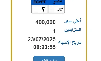اللوحة رقم ‘س ر – 2’ تثير حماس مزاد مرور مصر.. وسعرها يبلغ 400 ألف جنيه