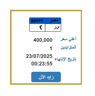 اللوحة رقم ‘س ر – 2’ تثير حماس مزاد مرور مصر.. وسعرها يبلغ 400 ألف جنيه